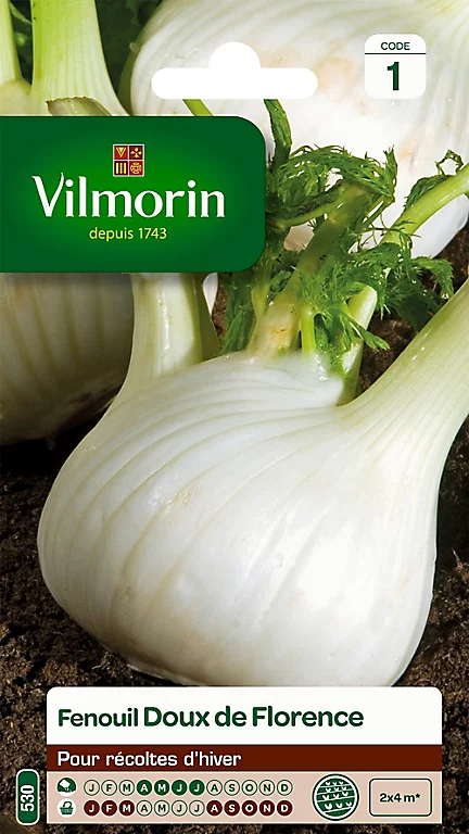 Castorama Graines De Fenouil Doux De Florence Vilmorin 3 Castorama Graines De Fenouil Doux De Florence Vilmorin