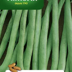 Castorama Graines De Haricot Nain Mangetout Contender