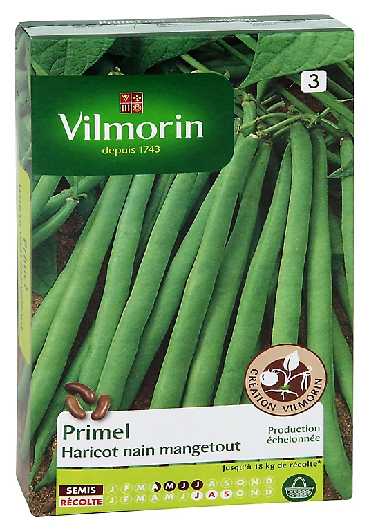 Castorama Graines De Haricot Nain Primel 3 Castorama Graines De Haricot Nain Primel