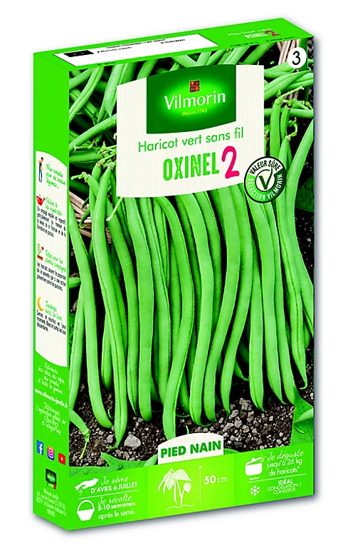 Castorama Graines De Haricot Vert Nain Oxinel 2 3 Castorama Graines De Haricot Vert Nain Oxinel 2