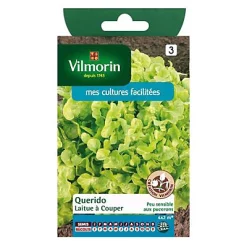 Castorama Graines De Laitue à Couper Querido