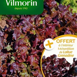 Castorama Graines De Laitue à Couper Salad Bowl Rouge Vilmorin