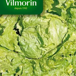 Castorama Graines De Laitue Batavia Blonde De Paris Vilmorin