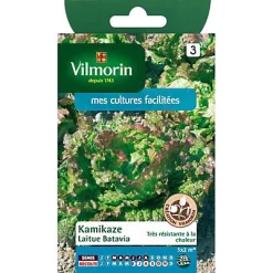 Castorama Graines De Laitue Batavia Kamikaze