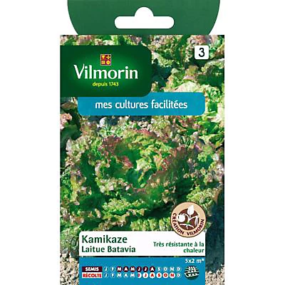 Castorama Graines De Laitue Batavia Kamikaze 3 Castorama Graines De Laitue Batavia Kamikaze