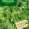 Castorama Graines De Laitue Batavia Reine Des Glaces Vilmorin -Clôture Soldes graines de laitue batavia reine des glaces vilmorin3211500007612 01c FR CF