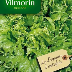 Castorama Graines De Laitue Batavia Reine Des Glaces Vilmorin