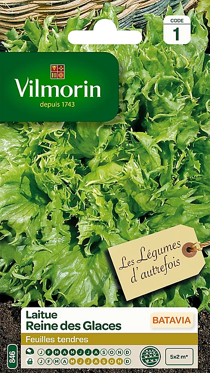 Castorama Graines De Laitue Batavia Reine Des Glaces Vilmorin 3 Castorama Graines De Laitue Batavia Reine Des Glaces Vilmorin