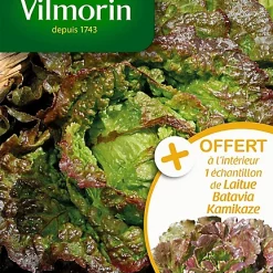 Castorama Graines De Laitue Batavia Rouge Grenobloise Vilmorin