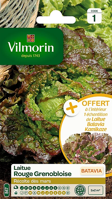 Castorama Graines De Laitue Batavia Rouge Grenobloise Vilmorin 3 Castorama Graines De Laitue Batavia Rouge Grenobloise Vilmorin