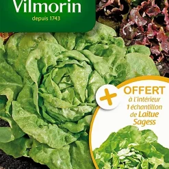 Castorama Graines De Laitue Pommée Kinemontepas Vilmorin