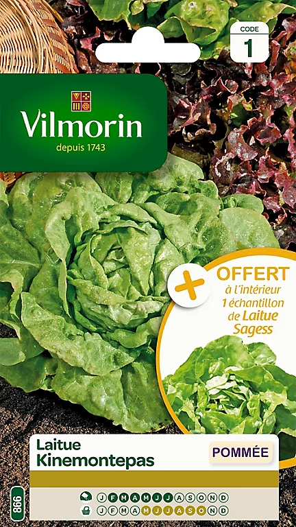 Castorama Graines De Laitue Pommée Kinemontepas Vilmorin 3 Castorama Graines De Laitue Pommée Kinemontepas Vilmorin