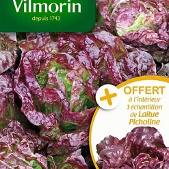 Castorama Graines De Laitue Pommée Merveille Des 4 Saisons Vilmorin