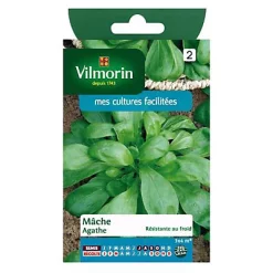 Castorama Graines De Mâche Agathe