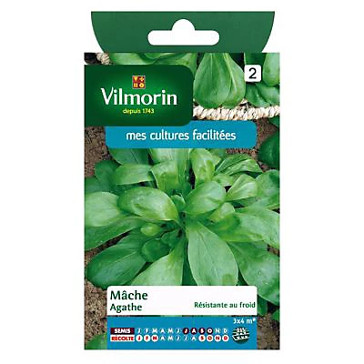 Castorama Graines De Mâche Agathe 3 Castorama Graines De Mâche Agathe