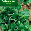 Castorama Graines De Mâche Verte De Louviers Vilmorin 1 Castorama Graines De Mâche Verte De Louviers Vilmorin -Clôture Soldes graines de mache verte de louviers vilmorin3211500007865 01c FR CF