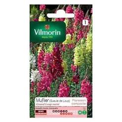 Castorama Graines De Muflier Grand Loup Varié (Gueule De Loup) Vilmorin