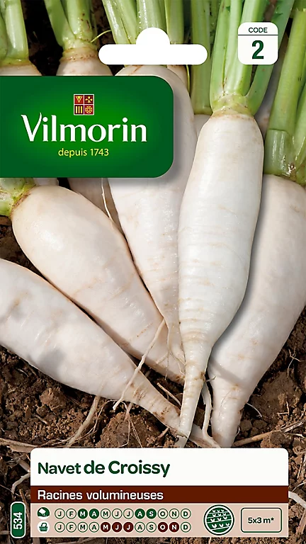 Castorama Graines De Navet De Croissy Vilmorin 3 Castorama Graines De Navet De Croissy Vilmorin