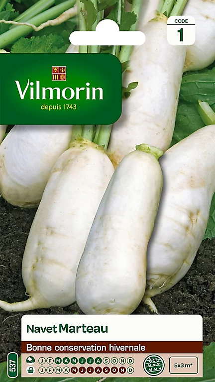 Castorama Graines De Navet Marteau Vilmorin 3 Castorama Graines De Navet Marteau Vilmorin