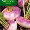 Castorama Graines De Navet Rouge Plât Hâtif Vilmorin 2 Castorama Graines De Navet Rouge Plât Hâtif Vilmorin -Clôture Soldes graines de navet rouge plat hatif vilmorin3211500007995 01c FR CF