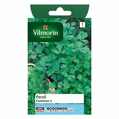 Castorama Graines De Persil Commun 2 3 Castorama Graines De Persil Commun 2