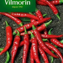 Castorama Graines De Piment De Cayenne Vilmorin