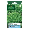 Castorama Graines De Pissenlit à Coeur Plein Amélioré Vilmorin 2 Castorama Graines De Pissenlit à Coeur Plein Amélioré Vilmorin -Clôture Soldes graines de pissenlit a coeur plein ameliore vilmorin3211500008169 08c