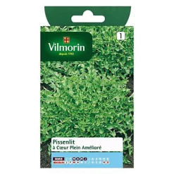 Castorama Graines De Pissenlit à Coeur Plein Amélioré Vilmorin