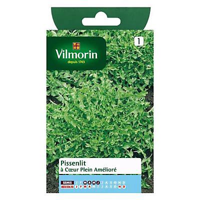 Castorama Graines De Pissenlit à Coeur Plein Amélioré Vilmorin 3 Castorama Graines De Pissenlit à Coeur Plein Amélioré Vilmorin