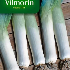 Castorama Graines De Poireau D'Hiver Race Vernor Vilmorin