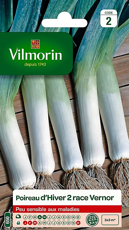 Castorama Graines De Poireau D'Hiver Race Vernor Vilmorin 3 Castorama Graines De Poireau D'Hiver Race Vernor Vilmorin