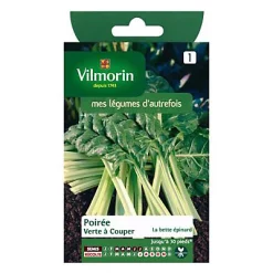 Castorama Graines De Poirée Verte à Couper