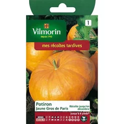 Castorama Graines De Potiron Jaune Gros De Paris