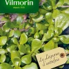 Castorama Graines De Pourpier Doré à Large Feuille Vilmorin 1 Castorama Graines De Pourpier Doré à Large Feuille Vilmorin -Clôture Soldes graines de pourpier dore a large feuille vilmorin3211500008244 01c FR CF