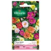 Castorama Graines De Pourpier Grande Fleur Double Varié Vilmorin 1 Castorama Graines De Pourpier Grande Fleur Double Varié Vilmorin -Clôture Soldes graines de pourpier grande fleur double varie vilmorin3211500009890 08c
