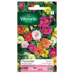 Castorama Graines De Pourpier Grande Fleur Double Varié Vilmorin