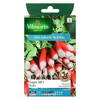 Castorama Graines De Radis Expo Hybride F1 3 Castorama Graines De Radis Expo Hybride F1