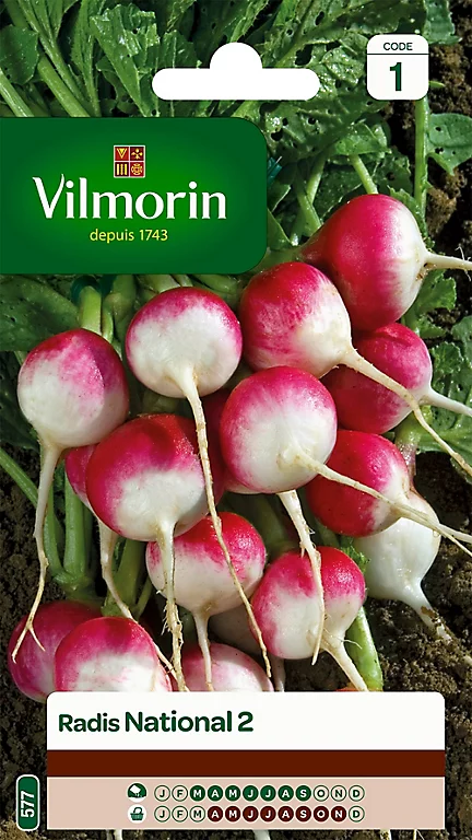Castorama Graines De Radis National Vilmorin 3 Castorama Graines De Radis National Vilmorin