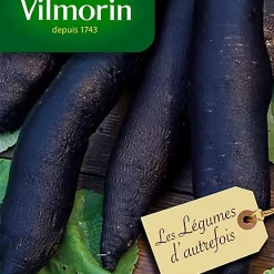 Castorama Graines De Radis Noir Gros Long D'Hiver Vilmorin