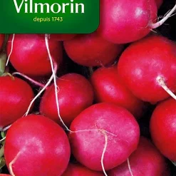 Castorama Graines De Radis Rond Ecarlate Géant De Wurzbourg Vilmorin