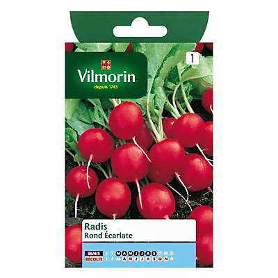 Castorama Graines De Radis Rond Ecarlate 3 Castorama Graines De Radis Rond Ecarlate
