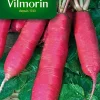 Castorama Graines De Radis Rose D'Hiver De Chine Vilmorin 1 Castorama Graines De Radis Rose D'Hiver De Chine Vilmorin -Clôture Soldes graines de radis rose d hiver de chine vilmorin3211500008367 01c FR CF