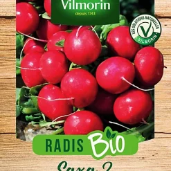 Castorama Graines De Radis Saxa 2 Bio