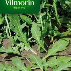 Castorama Graines De Roquette Cultivée Vilmorin