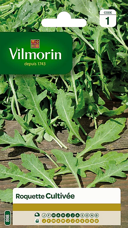 Castorama Graines De Roquette Cultivée Vilmorin 3 Castorama Graines De Roquette Cultivée Vilmorin