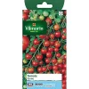 Castorama Graines De Tomate Cerise 1 Castorama Graines De Tomate Cerise -Clôture Soldes graines de tomate cerise3182670164804 08c