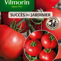 Castorama Graines De Tomate Dona Hybride F1 Vilmorin