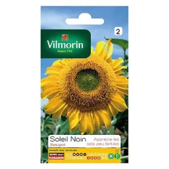 Castorama Graines De Tournesol Nain Sunspot