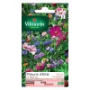 Castorama Graines Jolies Fleurs D'été Vilmorin -Clôture Soldes graines jolies fleurs d ete vilmorin3211500010896 08c