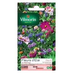 Castorama Graines Jolies Fleurs D'été Vilmorin